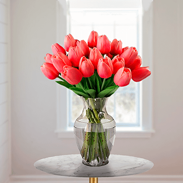 Tulips In Love