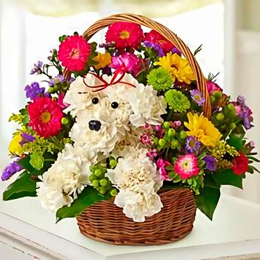 Amazing Floral Puppy