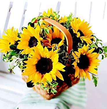Sunflowers Basket¡OFERTA!