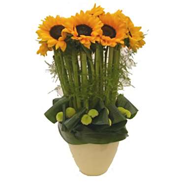 The Sunny Bouquet