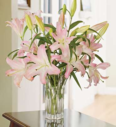 The Premium Florist Lilies