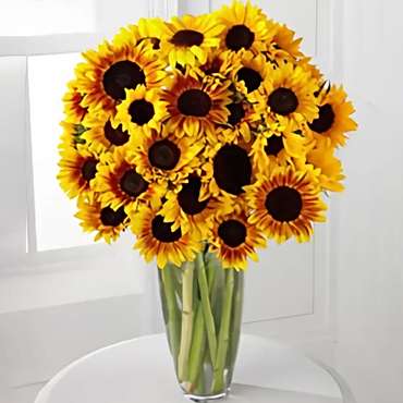 Splendid Sunflowers