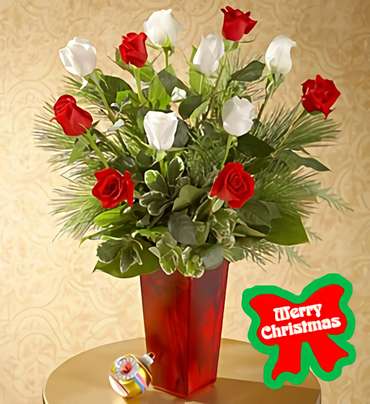 Holiday Special Roses