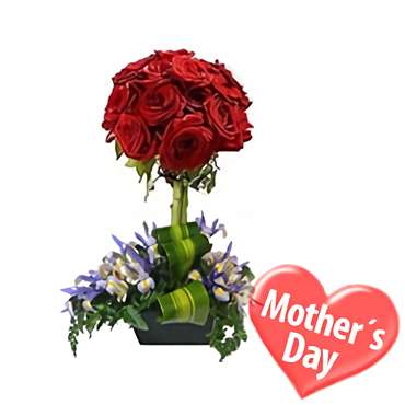 Mother’s Day Topiary