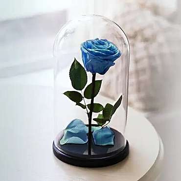 Eternal Blue Rose
