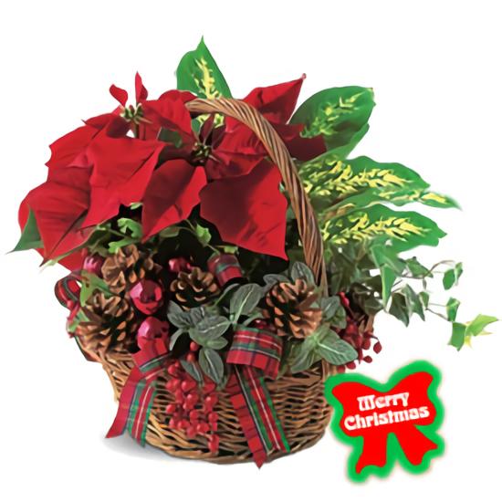 <font color= #FF0000><b>Holiday Gift Center - Flowers to Montreal