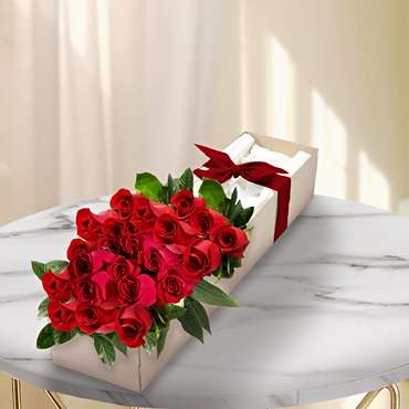 Roses Premium Box