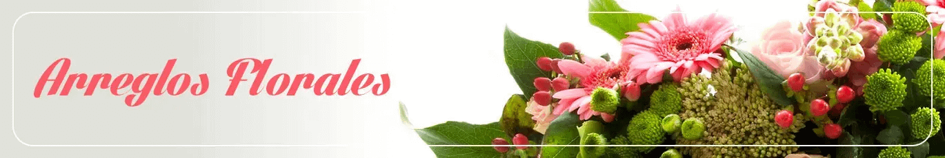 Envia Arreglos Florales a Chia Cundinamarca | Flores Chia-Cundinamarca |  Premium Florist