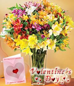 <font color= #FF0000><b>Valentin Gift Center - Flowers to Doral