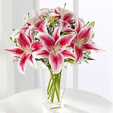 Holiday Lilies