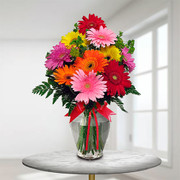 Seasonal Gerbera Daisies SALE! - Flowers to USA