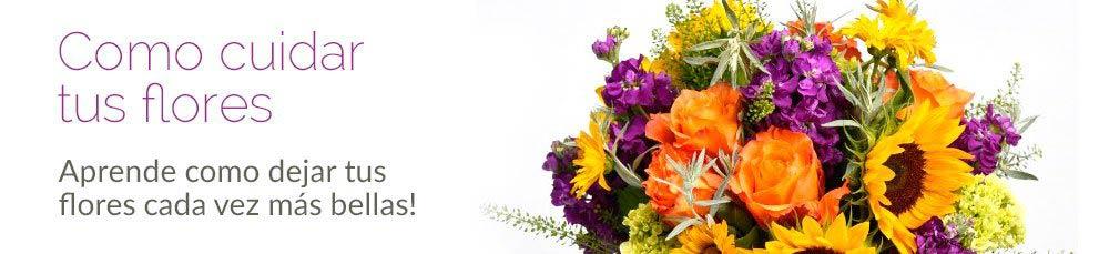 ¿Cómo cuidar las flores?