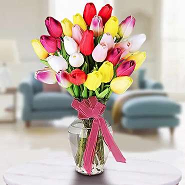 30 Tulips in Vase