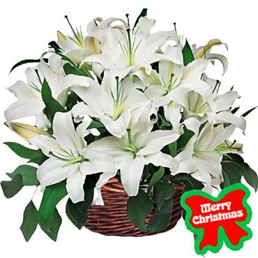 Lilies Holiday Basket