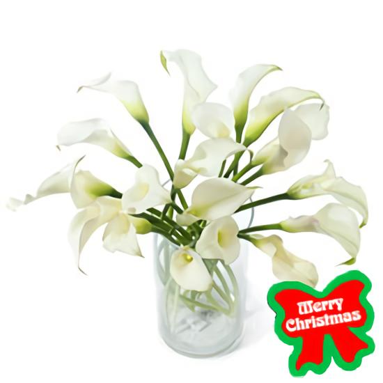 <font color= #FF0000><b>Holiday Gift Center - Flores a Tenjo (Cun)