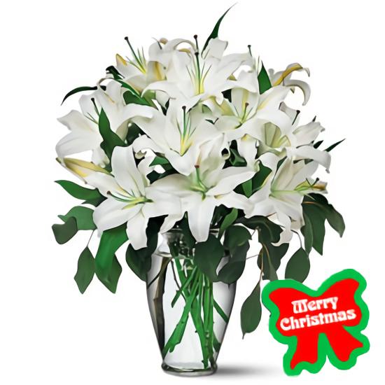 <font color= #FF0000><b>Holiday Gift Center - Flores a Cali