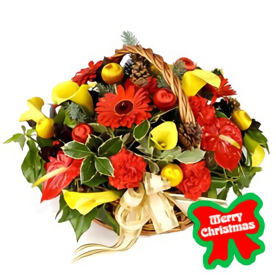 <font color= #FF0000><b>Holiday Gift Center - Flores a Tumaco (Nariño)