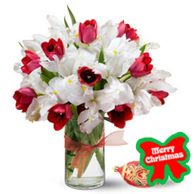 Love & Roses