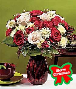 Merry Christmas Roses