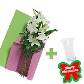Holiday Liliums + Free Vase!