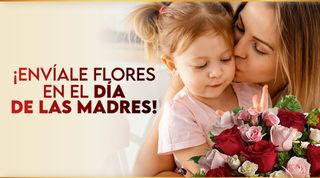 Florerias en Nogales | Flores a Nogales