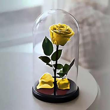 Eternal Yellow Rose