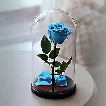 Rosa Eterna Azul