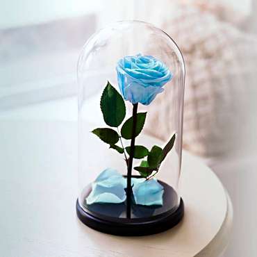 Eternal Light Blue Rose