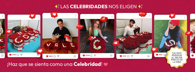 Las Celebridades nos eligen