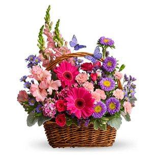 Flowers Baskets
