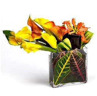 Just Because Flowers