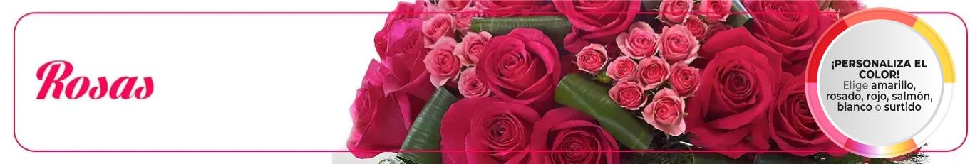 Ramo de 200 rosas - Florería Isis - Envio de Flores a Domicilio