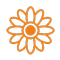 Gerberas