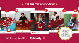 Celebrities choose us